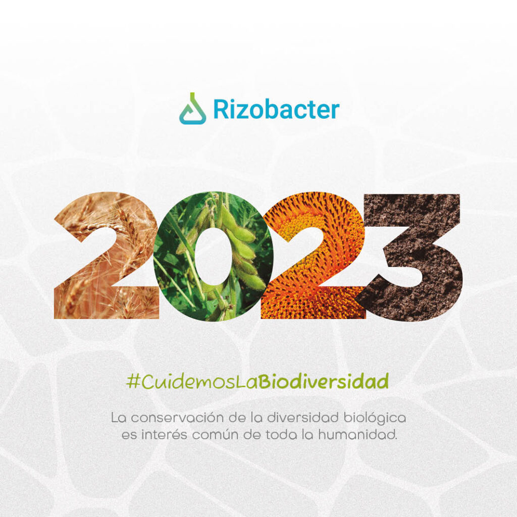 Un año en ecosistemas rizobacter 2023