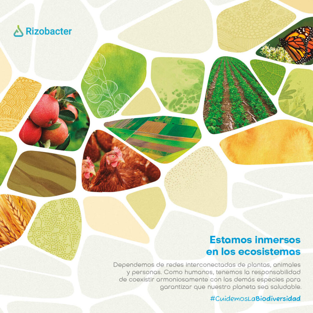 Un año en ecosistemas rizobacter 2023 10