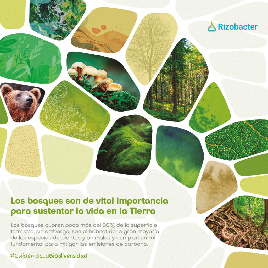 Un año en ecosistemas rizobacter 2023 12