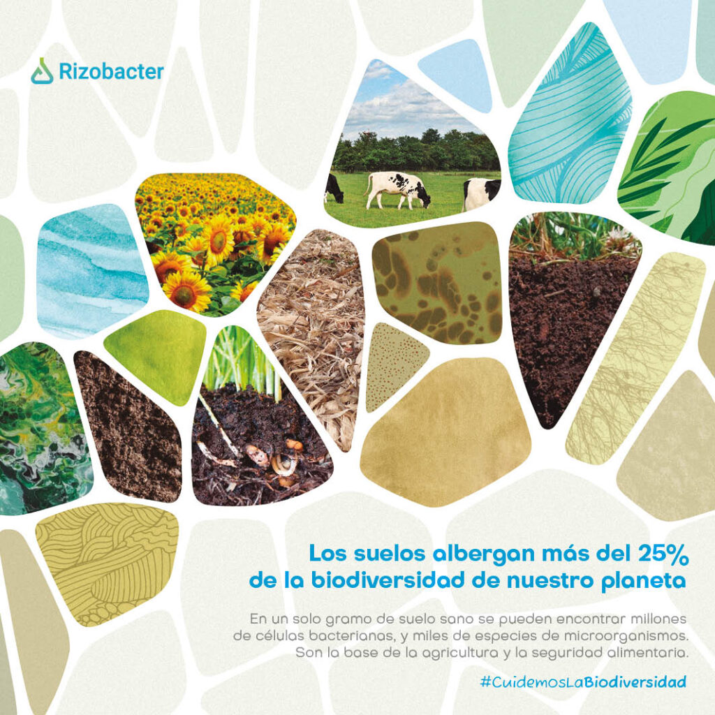 Un año en ecosistemas rizobacter 2023 14