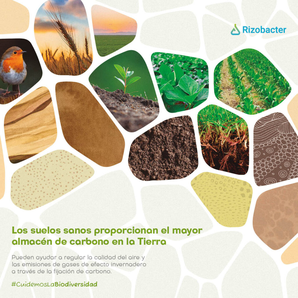 Un año en ecosistemas rizobacter 2023 16