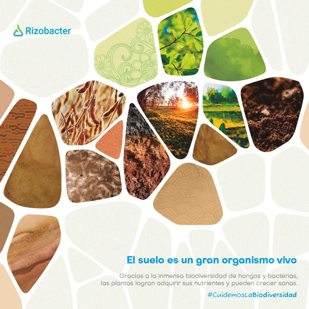 Un año en ecosistemas rizobacter 2023 18