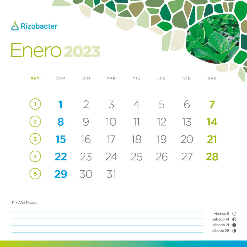 Un año en ecosistemas rizobacter 2023 3