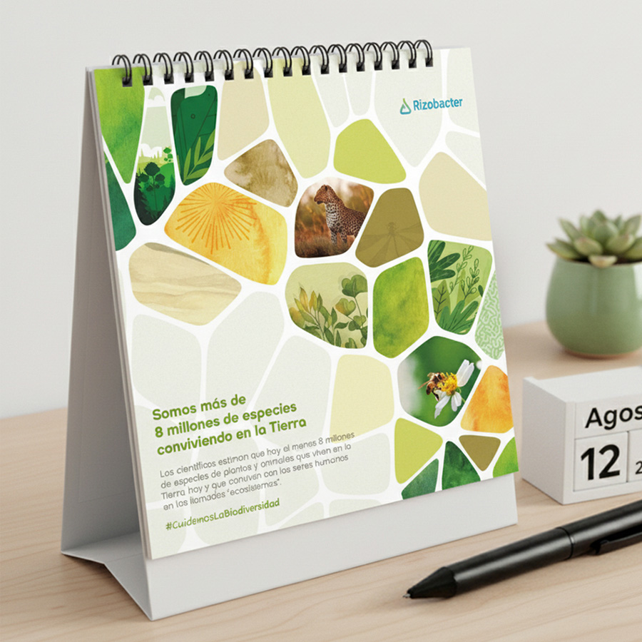 Un año en ecosistemas mockup